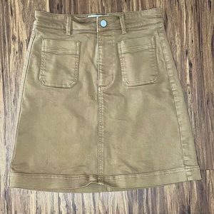 Everlane Skirt
